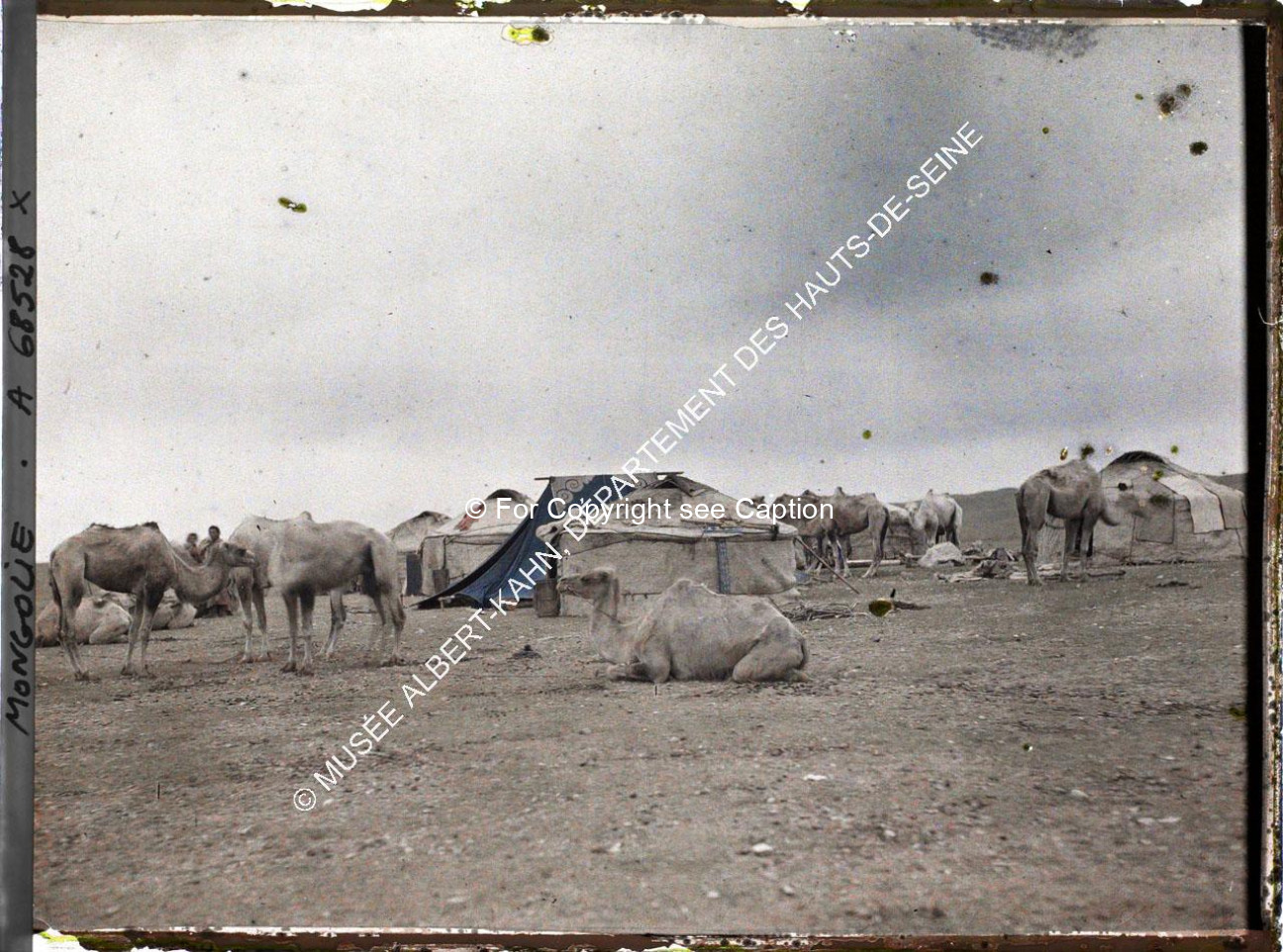 Yurts, tents, and camels behind Gandan (?). Musée Albert-Kahn. A68528. Photo by Stéphane Passet, Jul